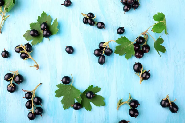 Ripe black currants on blue wooden background — Stock Photo, Image