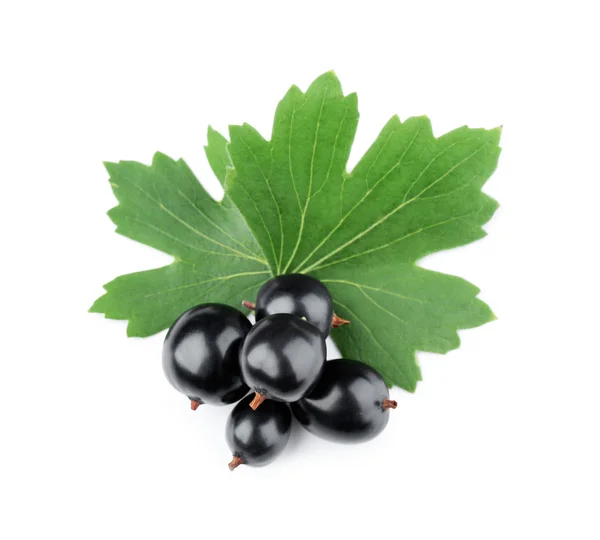 Heap of wild black currant with green leaves isolated on white — Stock Photo, Image