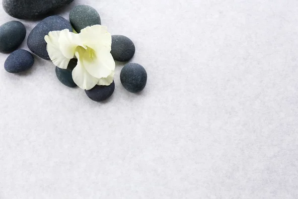 Spa stones with flower — Stock Photo, Image