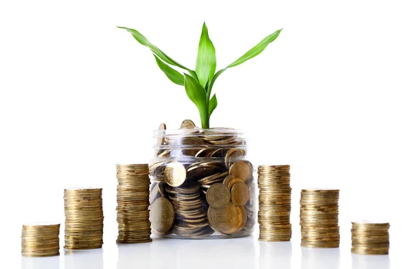 Plant growing in coins — Stock Photo, Image