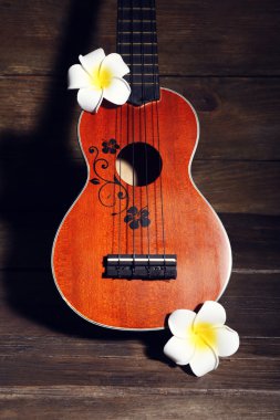 Hawaii akustik gitar ve koyu ahşap arka plan üzerinde çiçekler