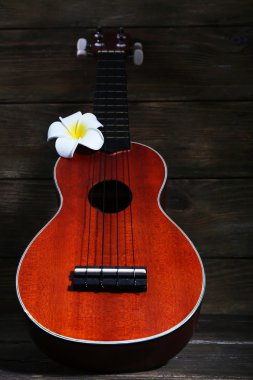 Hawaiian akustik gitar ve koyu ahşap zemin üzerine çiçek