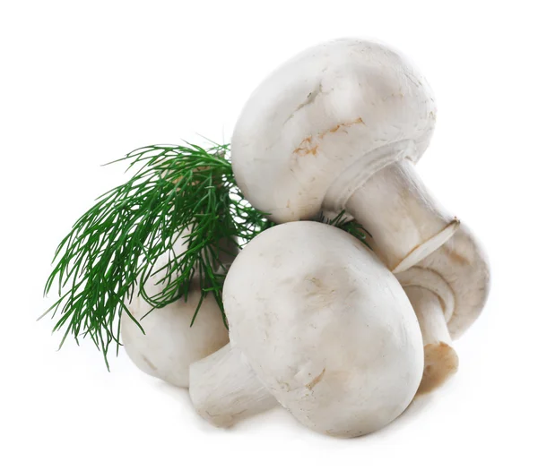 Champignon mushrooms and dill isolated on white background — Stock Photo, Image