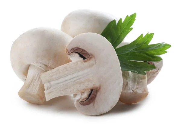 샴 피 뇽 버섯과 파 슬 리 흰색 배경에 고립의 무리 — 스톡 사진