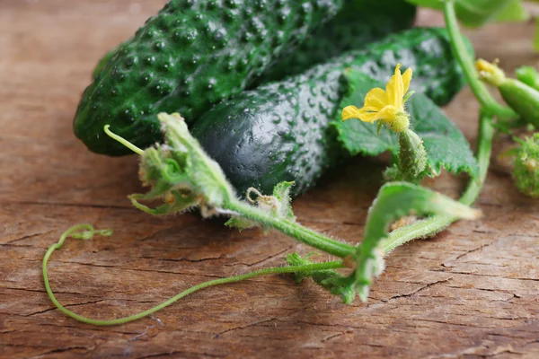 Cucumbers with leafs on wooden background, close up — Stock Photo, Image