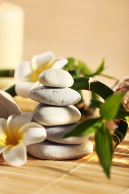 rahatlatıcı spa kompozisyon