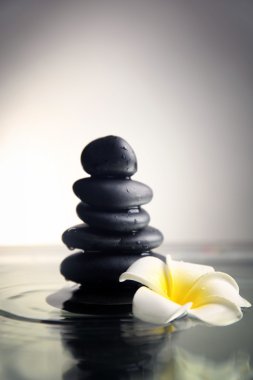 Bileşimi plumeria çiçek ve çakıl