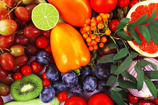 Close-up composition of various raw organic vegetables and fruit — Stock Photo, Image