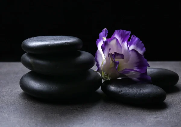 Pebbles com flor bonita — Fotografia de Stock