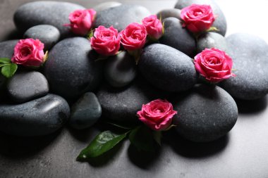 taşların oluşumunu Spa