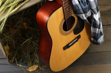 Akustik gitar ve mavi kareli gömlek