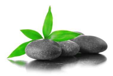 Taş yığını ve yeşil çiçek