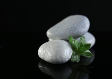 Taş yığını ve yeşil çiçek