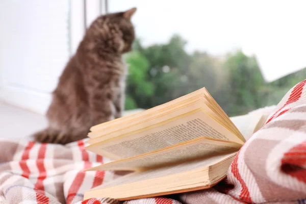 Gato cinza sentado em cobertor com livro — Fotografia de Stock