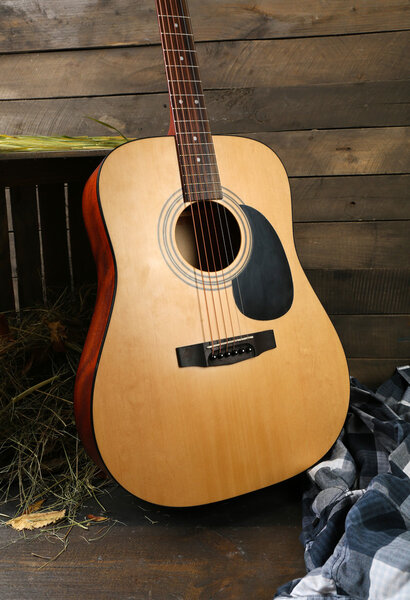 Acoustic guitar and blue checkered shirt