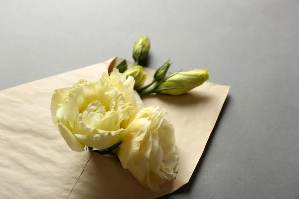 White eustoma in envelope on grey background — Stock Photo, Image