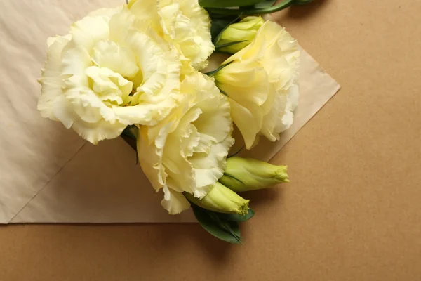 White eustoma in envelope on beige background — Stock Photo, Image