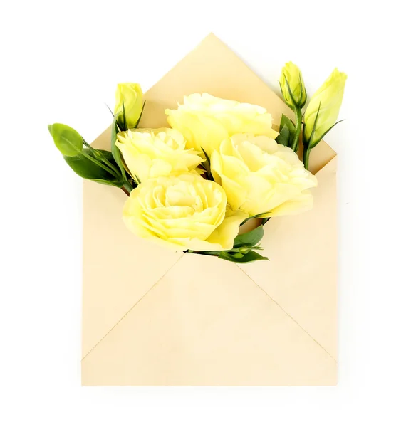 White eustoma in envelope, isolated on white — Stock Photo, Image