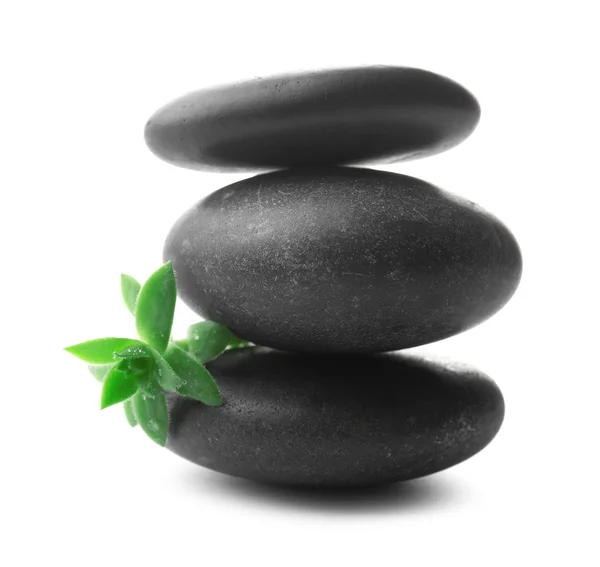 Stack of stones and a green flower — Stock Photo, Image