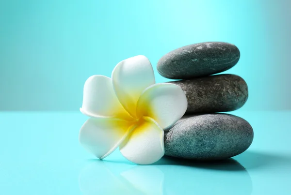 Spa taşları ve çiçek — Stok fotoğraf