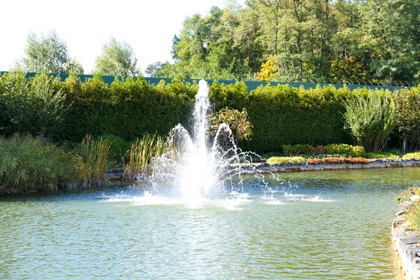 Lago nel parco estivo — Foto Stock