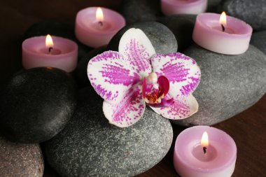 Spa taşlar ve orkide