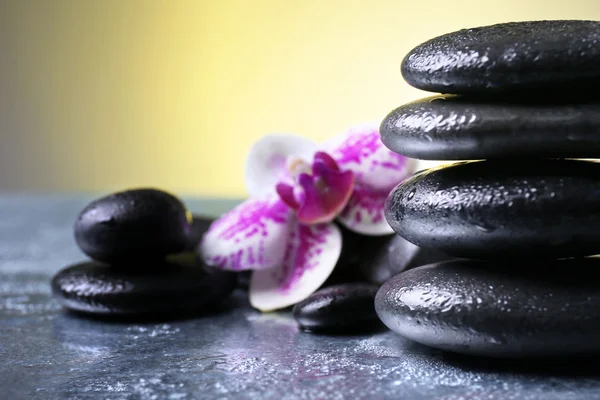 Black pebbles with orchid — Stock Photo, Image