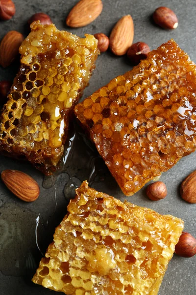 Honeycombs and nuts — Stock Photo, Image