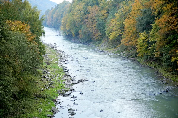Río que fluye a través del bosque — Foto de Stock