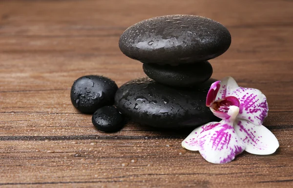 Black pebbles with orchid — Stock Photo, Image