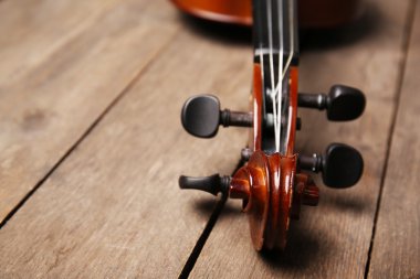 Klasik keman yakın çekim