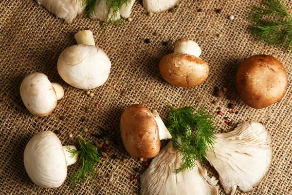麻布背景上的蘑菇 — 图库照片