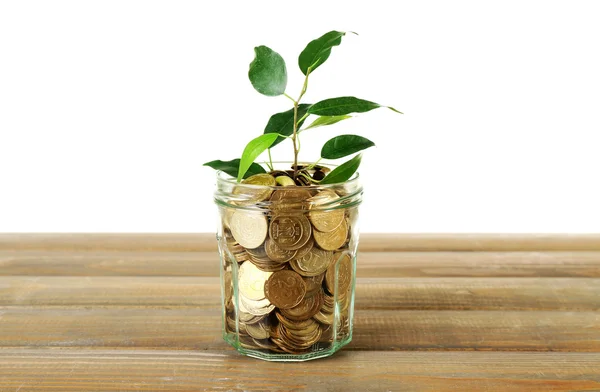 Растение, растущее в чаше с монетами — стоковое фото