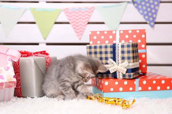 小さな灰色の子猫祝う誕生日 — ストック写真