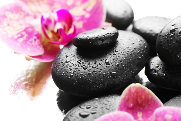 Piedras de spa y orquídeas — Foto de Stock