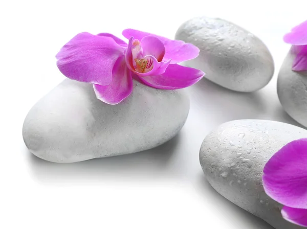 Piedras de spa y orquídeas — Foto de Stock