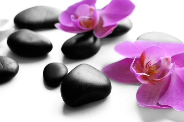 Spa kövek és orchideák — Stock Fotó