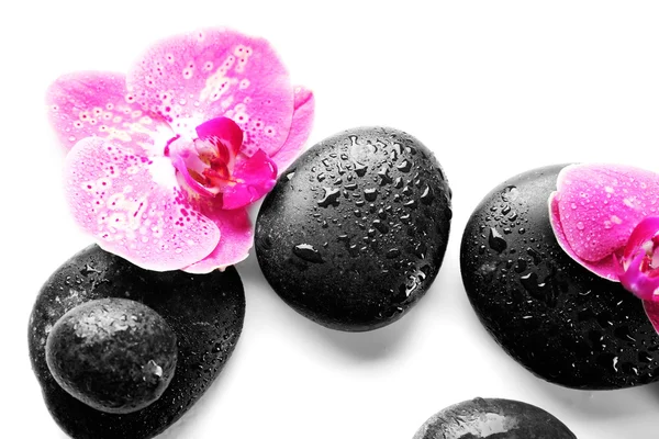 Zwarte spa stenen en orchideeën — Stockfoto