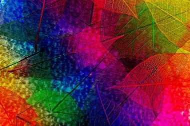 iskelet yaprakları arka plan