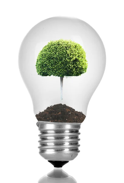 Zelený koncept ekologické energie — Stock fotografie
