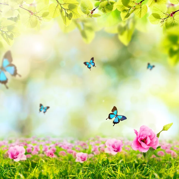 Fondo con mariposas, hierba verde y hojas — Foto de Stock