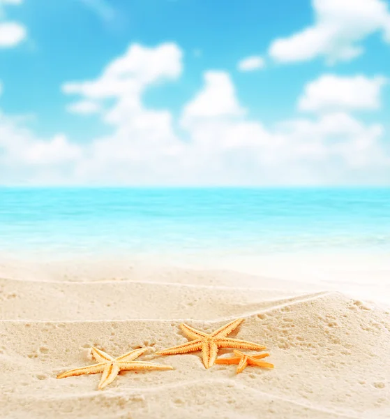 Gyönyörű strand háttér — Stock Fotó