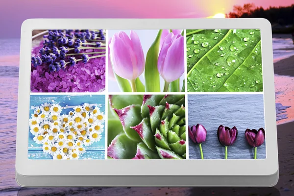 Tablet PC with images of nature objects — Stock Photo, Image