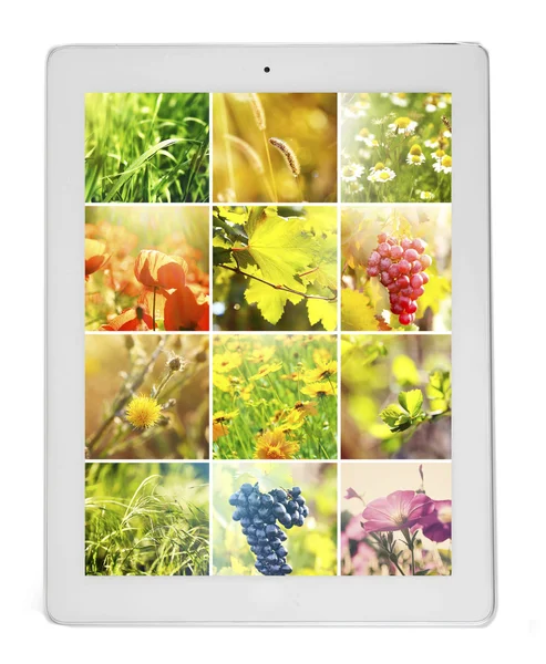 Tablet-PC mit Bildern von Naturobjekten — Stockfoto