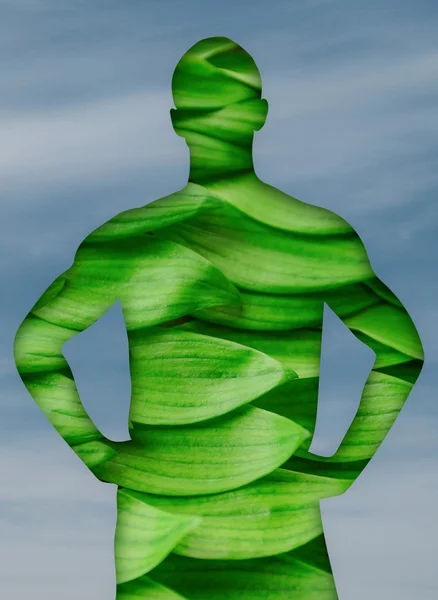 Man silhouette with green leaves — Stock Photo, Image