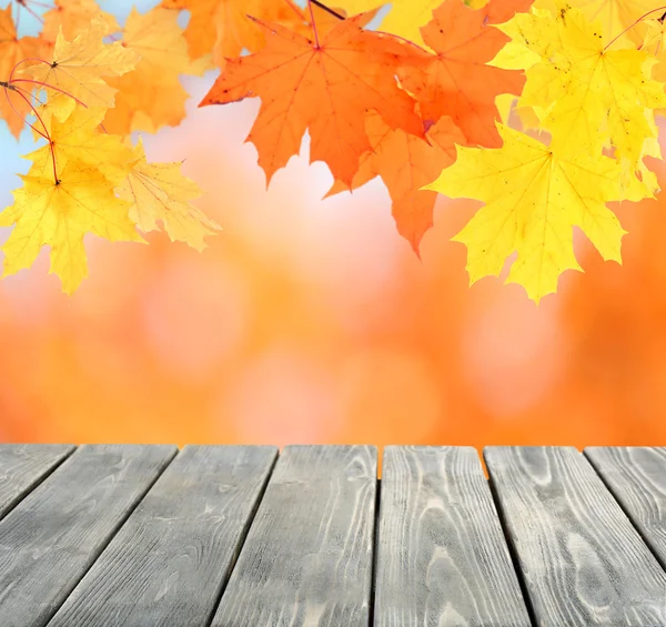 Herfst bladeren met bokeh en houten vloer. — Stockfoto