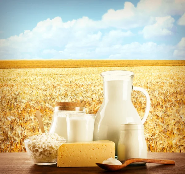 Milchprodukte auf dem Feld Hintergrund — Stockfoto