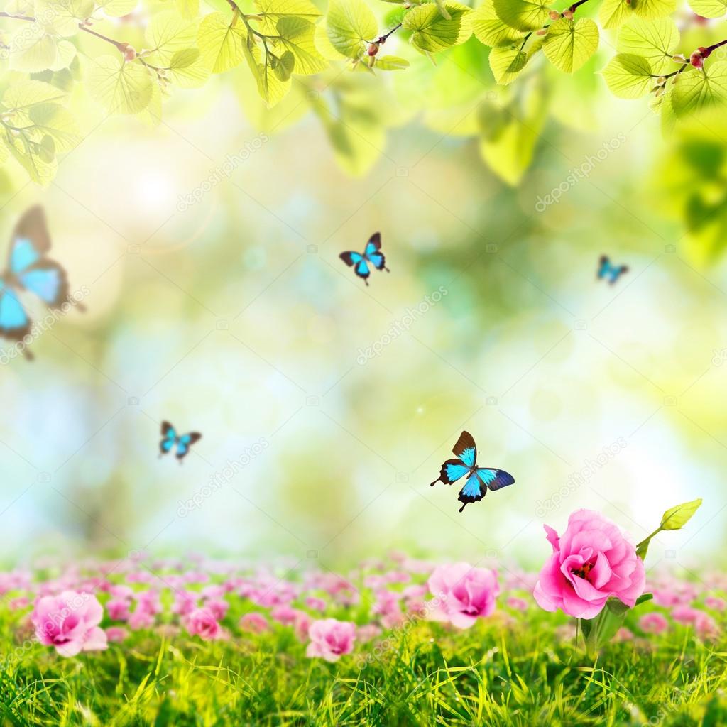 background with butterflies, green grass and leaves