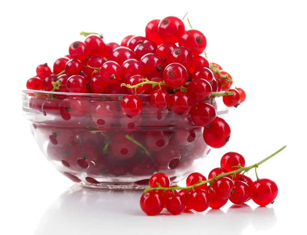 Groseilles rouges fraîches dans un bol en verre isolé sur blanc — Photo