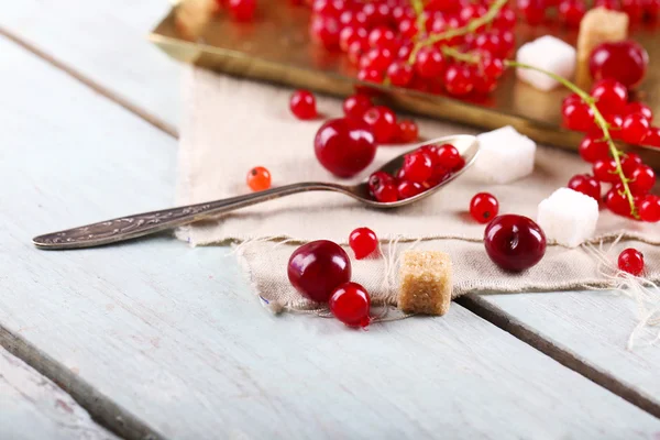 Groseilles rouges fraîches avec sucre sur la table gros plan — Photo